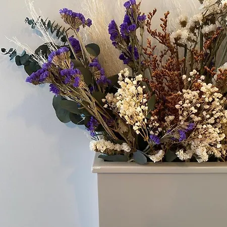 Canarios Cardal - I 아파트 *